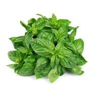 Basil Bunch