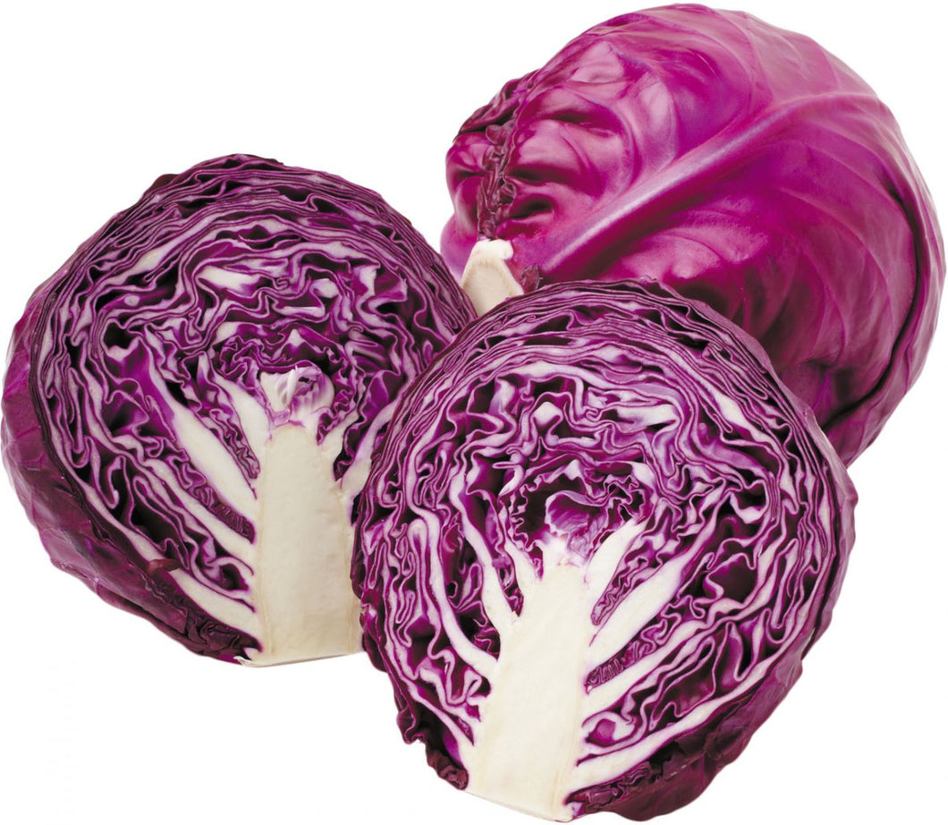 Cabbage Red