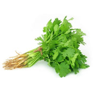 Coriander Bunch