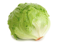 Lettuce Iceberg